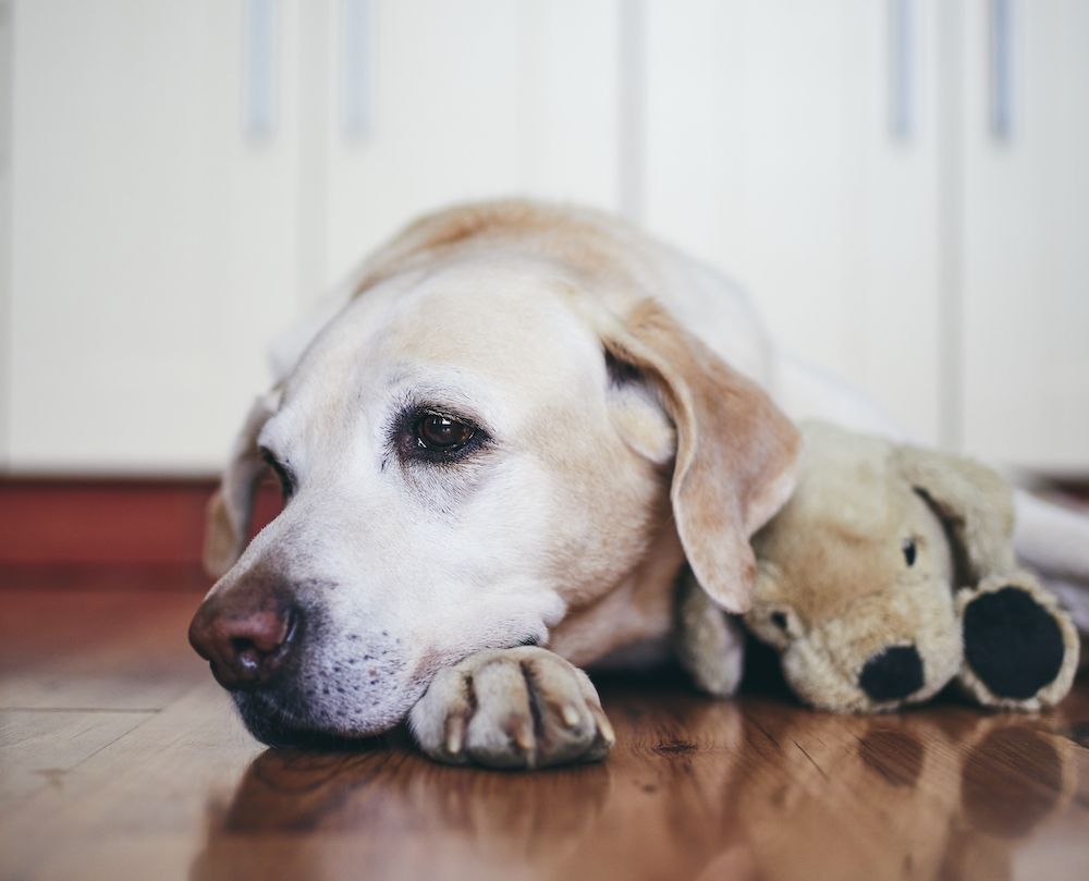 You Can't Go Home Again